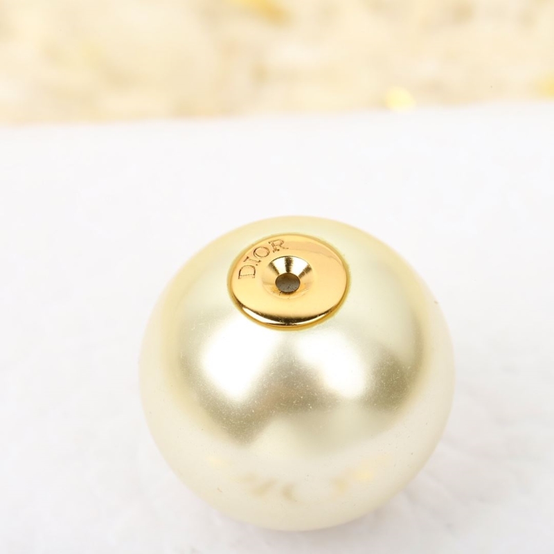 chr1st1an D10r earrings